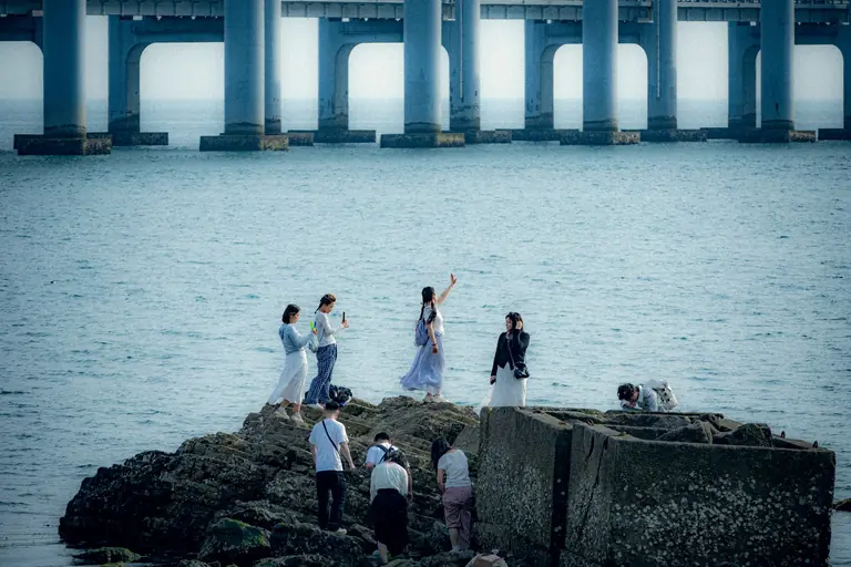 A group of people gathering on rocks by the sea, with a large bridge in the background.