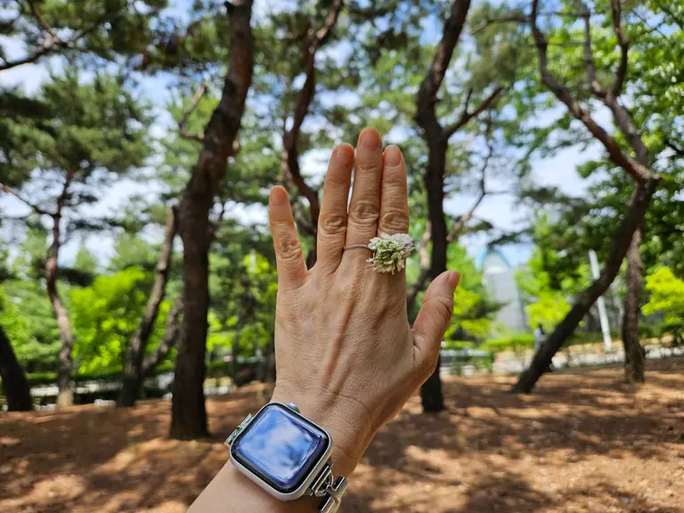 Hand wearing smartwatch in a pine forest with a flower ring, showcasing nature and technology.