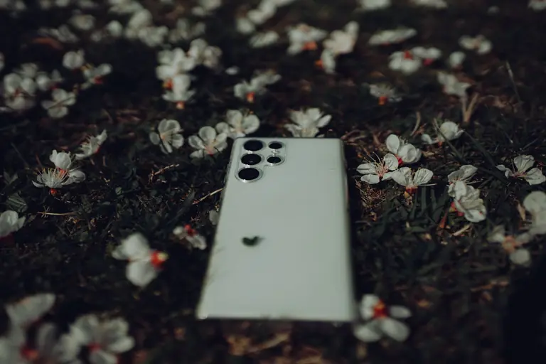 Close-up of a smartphone on grass surrounded by white flowers, symbolizing technology in nature.
