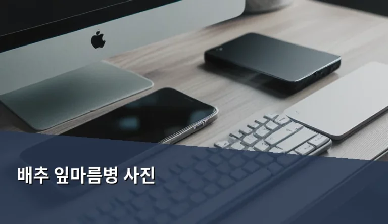 배추 잎마름병 사진 판별법과 효율적인 방제 관리 가이드