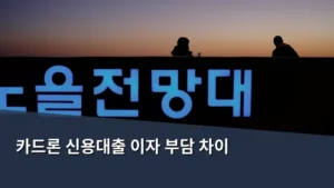 카드론 신용대출 이자 부담 차이 분석 및 선택 가이드