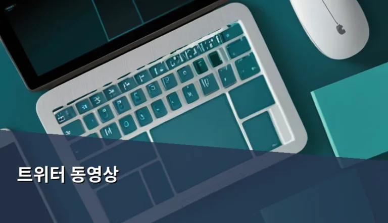 트위터 동영상 업로드 가이드와 X 수익화 전략