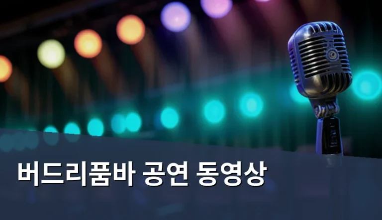버드리품바 공연 동영상, 유튜브에 있으면 마음대로 써도 될까